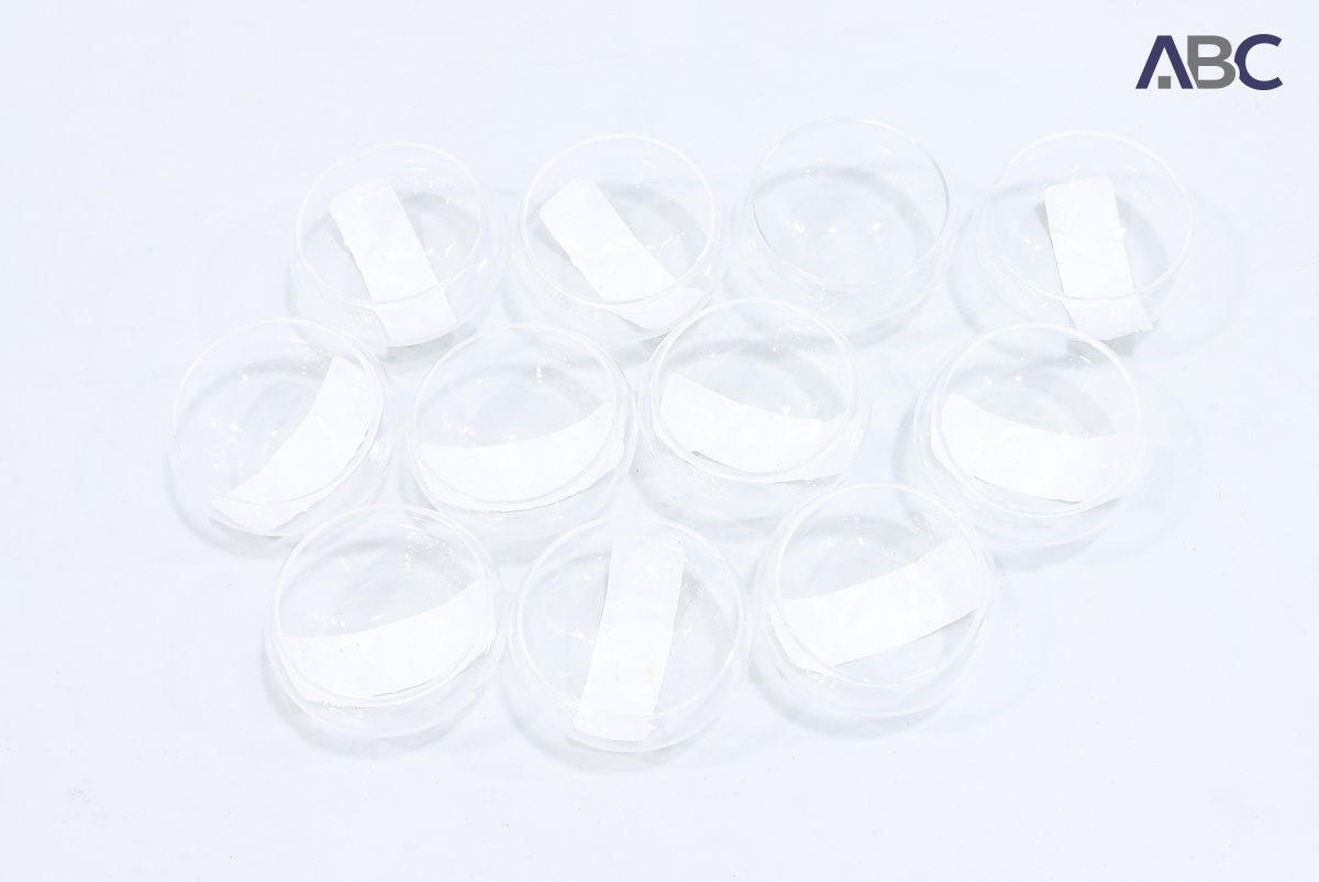 Mini Fish Bowls Glass (D 70 x H 40mm) (11)