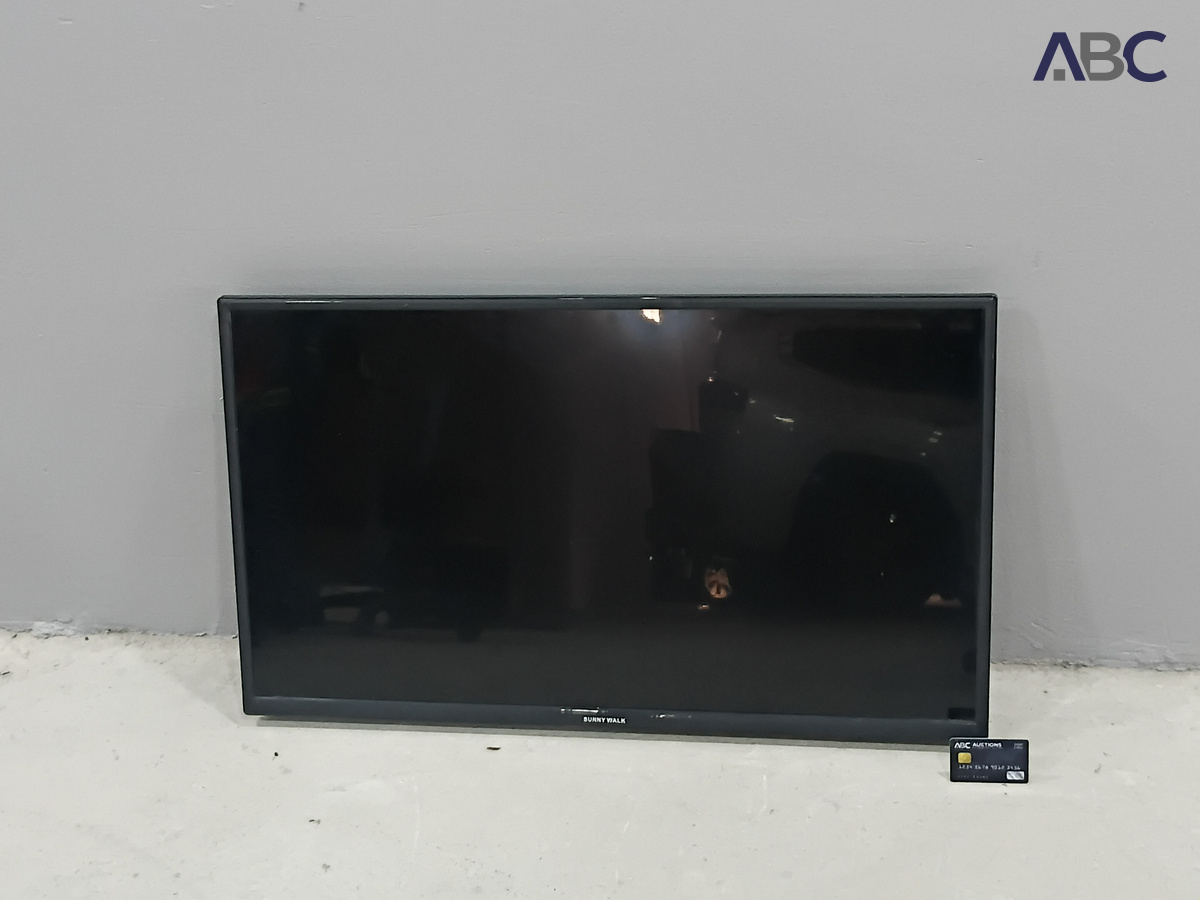 Sunny Walk 42-Inch LED TV
